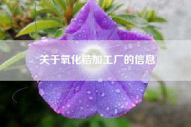 关于氧化锆加工厂的信息