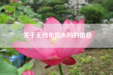 关于无纺布防火吗的信息