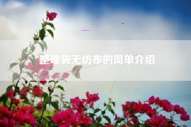 整理袋无纺布的简单介绍