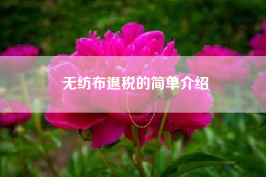 无纺布退税的简单介绍