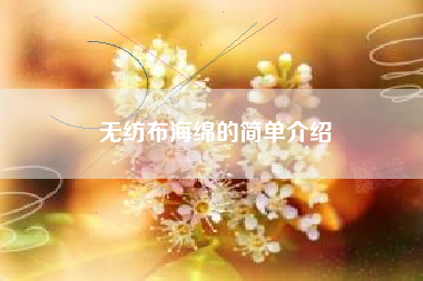 无纺布海绵的简单介绍