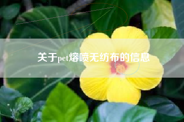 关于pet熔喷无纺布的信息