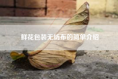 鲜花包装无纺布的简单介绍