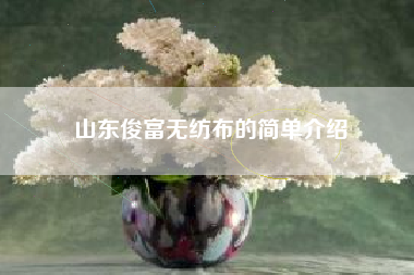 山东俊富无纺布的简单介绍