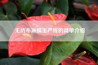 无纺布淋膜生产线的简单介绍
