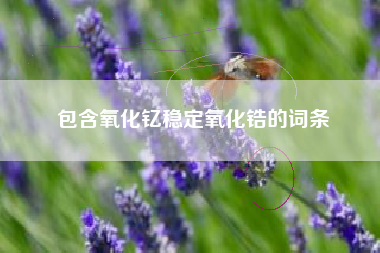 包含氧化钇稳定氧化锆的词条