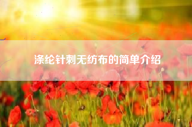 涤纶针刺无纺布的简单介绍