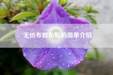 无纺布胶布贴的简单介绍
