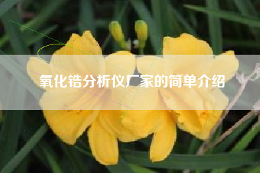 氧化锆分析仪厂家的简单介绍