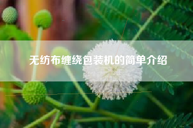 无纺布缠绕包装机的简单介绍