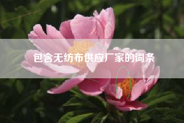 包含无纺布供应厂家的词条