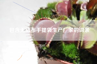 包含无纺布手提袋生产厂家的词条