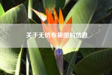 关于无纺布袋图的信息