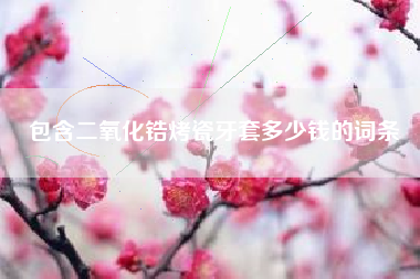 包含二氧化锆烤瓷牙套多少钱的词条