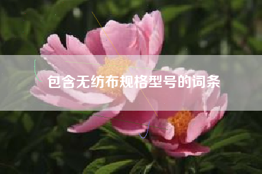包含无纺布规格型号的词条
