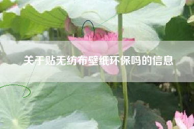 关于贴无纺布壁纸环保吗的信息
