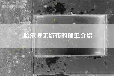 哈尔滨无纺布的简单介绍
