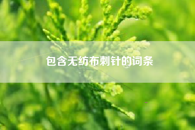 包含无纺布刺针的词条