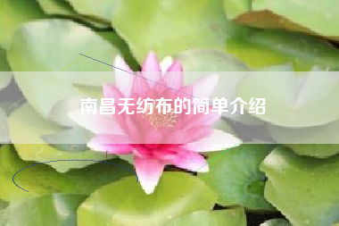 南昌无纺布的简单介绍