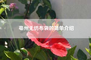 亳州无纺布袋的简单介绍