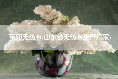 莱阳<a href='/' target='_blank' title='无纺布' ><strong>无纺布</strong></a>(山东省无纺布生产厂家)