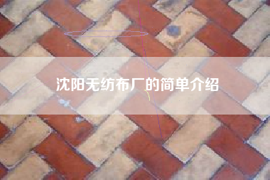 沈阳无纺布厂的简单介绍 沈阳无纺布厂的简单介绍