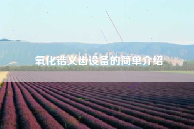 氧化锆义齿设备的简单介绍