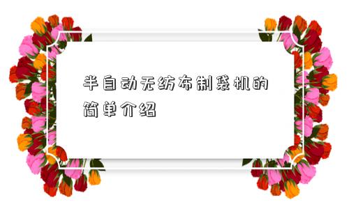 半自动无纺布制袋机的简单介绍