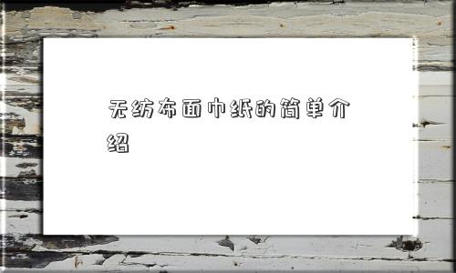无纺布面巾纸的简单介绍
