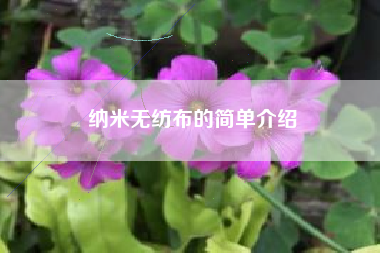 纳米无纺布的简单介绍