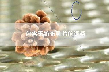 包含无纺布贴片的词条