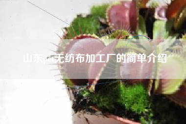 山东pet无纺布加工厂的简单介绍