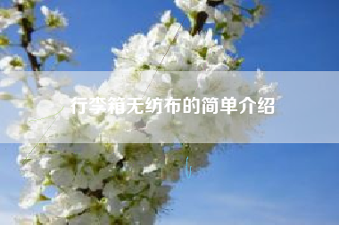 行李箱无纺布的简单介绍
