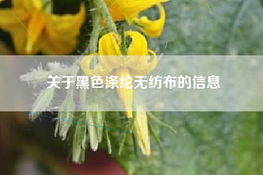 关于黑色涤纶无纺布的信息