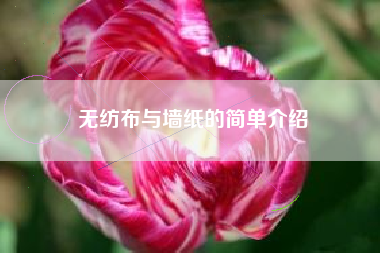 无纺布与墙纸的简单介绍