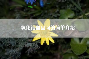 二氧化锆坚固吗的简单介绍