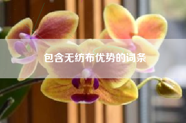 包含无纺布优势的词条