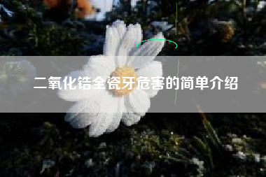 二氧化锆全瓷牙危害的简单介绍
