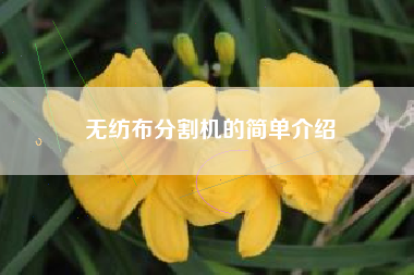 无纺布分割机的简单介绍