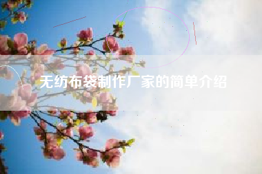 无纺布袋制作厂家的简单介绍