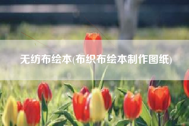 无纺布绘本(布织布绘本制作图纸)