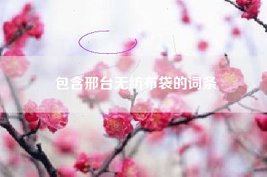 包含邢台无纺布袋的词条