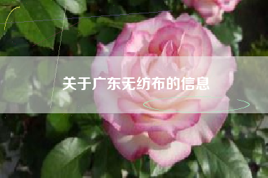 关于广东无纺布的信息 关于广东无纺布的信息