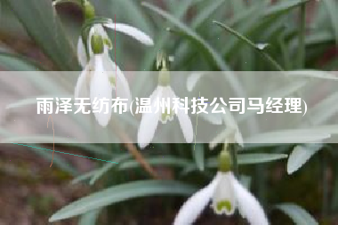 雨泽无纺布(温州科技公司马经理)