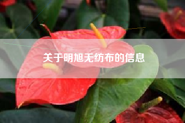 关于明旭无纺布的信息