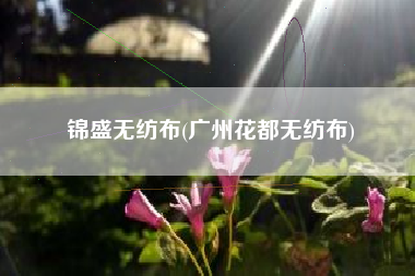 锦盛<a href='/' target='_blank' title='无纺布' ><strong>无纺布</strong></a>(广州花都无纺布)