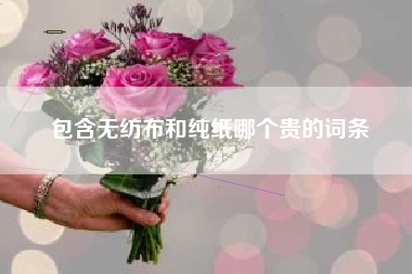 包含无纺布和纯纸哪个贵的词条