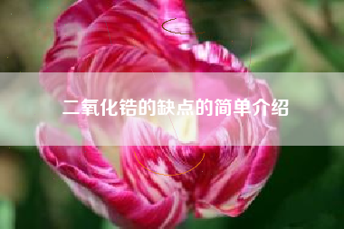 二氧化锆的缺点的简单介绍