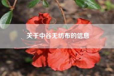 关于中谷无纺布的信息