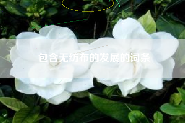 包含无纺布的发展的词条